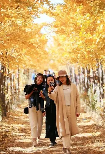 俺们村小树林火了好多美女纷至沓来拍照留念说想嫁到俺村