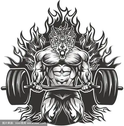 健美身材,狼,动物肌肉,人类肌肉,举重训练