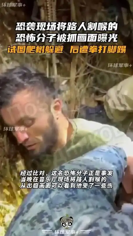 恐袭现场将路人割喉的恐怖分子被抓画面曝光试图爬树躲避后遭拳打脚踢