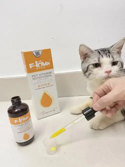 猫咪毛毛的润滑剂