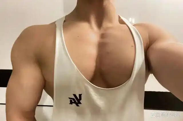 如何拥有完美胸肌(胸肌合集)