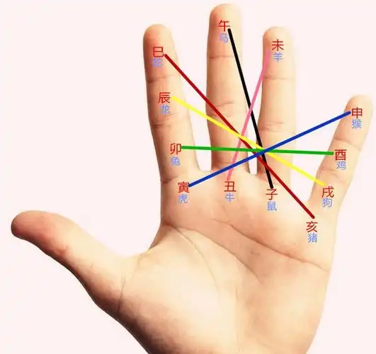 怎样掐指算命分享一些种钙算的方法图解