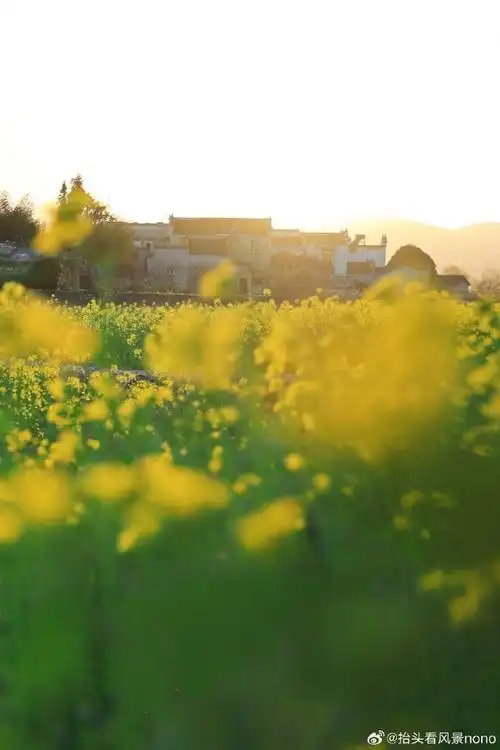 春游季##去春天里遛遛自己##一组春景图看春日大地