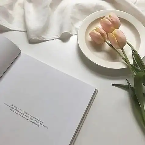 背景图ins风高级感全屏浅色高清,背景图片浅色系