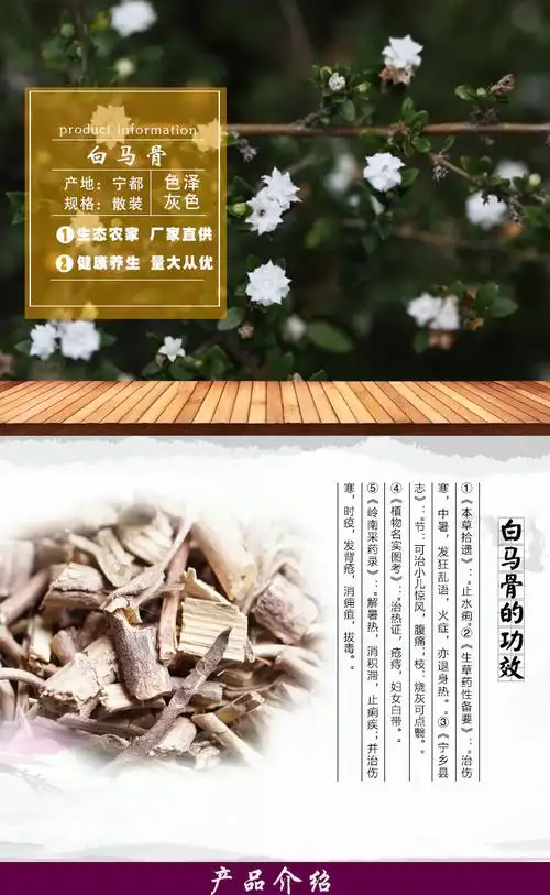 批发草药材白马骨六月雪 健脾利湿路边荆满天星 本棵保药含量