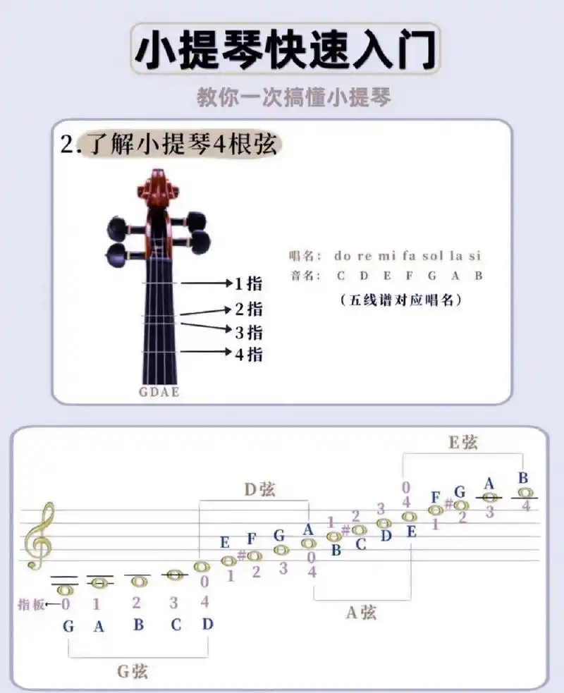 一次读懂小提琴 如图,部位名称,把位对应音名,四根线对应五线谱 有