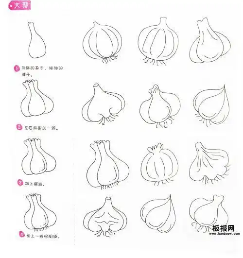 木老师简笔画超简单的大蒜简笔画步骤图幼儿画画入门大蒜简笔画步骤