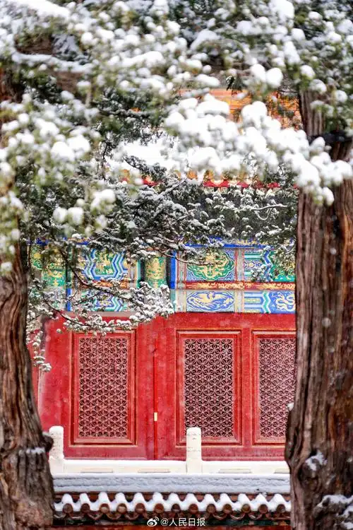 故宫的雪景真是绝了!
