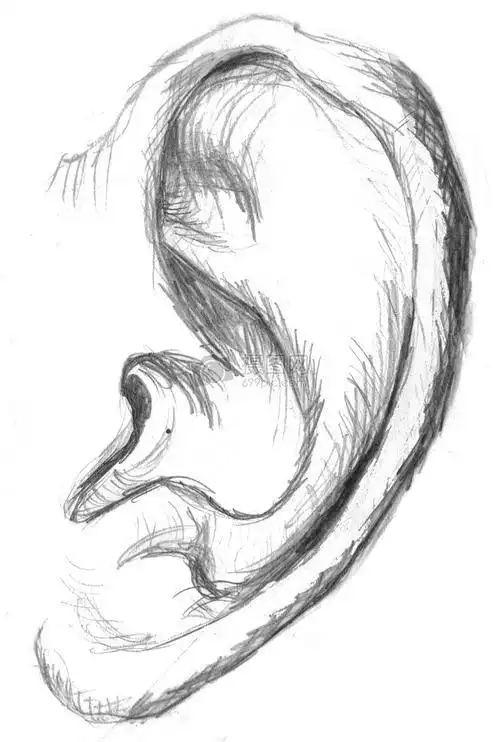 画耳朵简笔画 画耳朵简笔画教程