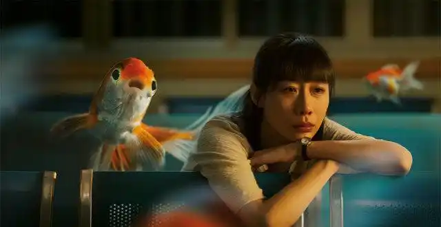 干货分享|百货中庭集锦