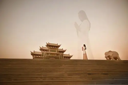 紫衣:菩提树下! - 皈依三宝的日志 - 网易博客