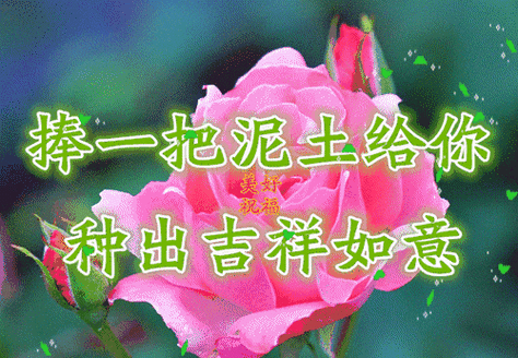 500_346gif 动态图 动图