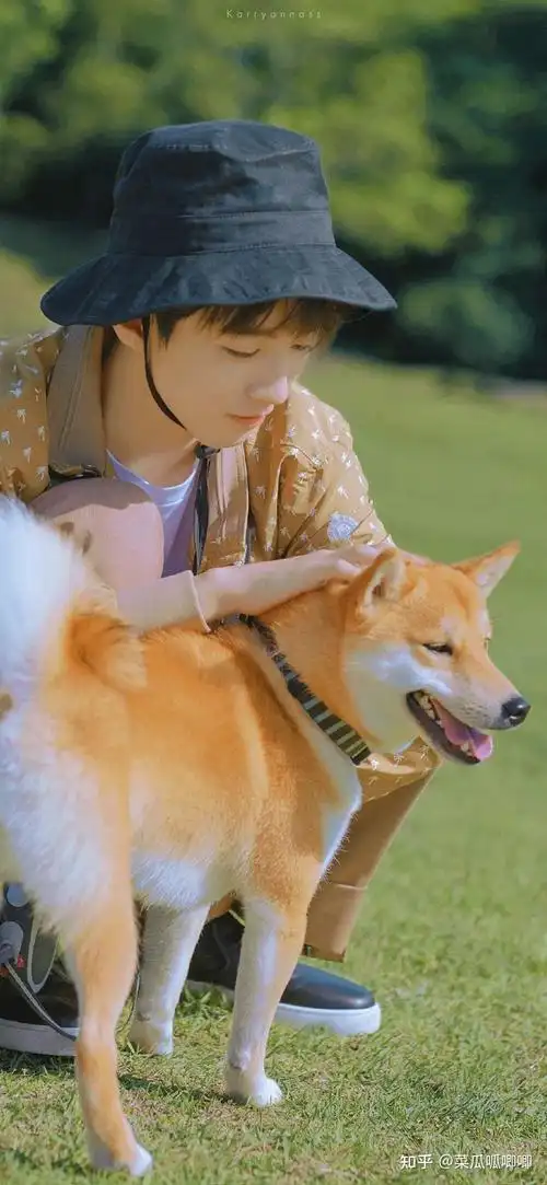 王俊凯壁纸1000 ,高清无水印哦(含十周年)