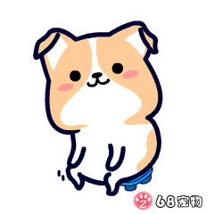 68宠物app微信qq搞笑萌宠物动态表情:看戏,吃瓜群众