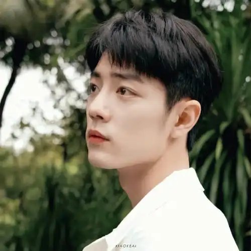 内娱明星头像大户#肖战的小清新头像合集,像暗恋了很久的那位男生.