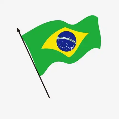 矢量巴西国旗