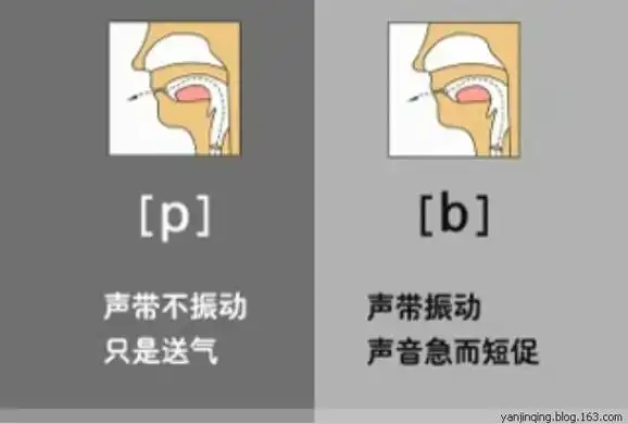 教你英语48个音标的快速记忆法