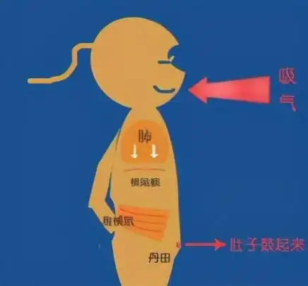 学会用丹田唱歌你就成功了一半快速学会用丹田唱歌