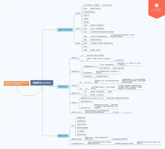 医学免疫学思维导图