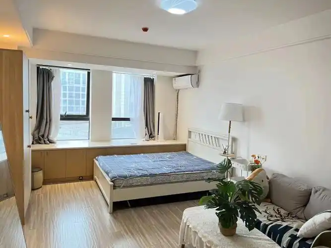 延平门丰庆公园高新尊寓精品一室开间