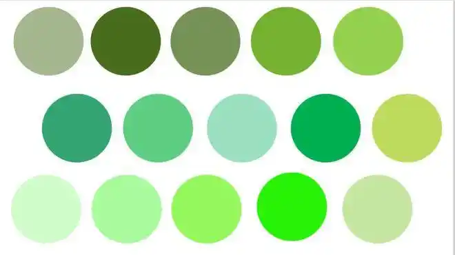 辨认颜色|一年级|色卡|草绿色|浅绿色_网易订阅