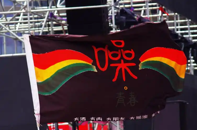 洱海音乐节上的旗帜