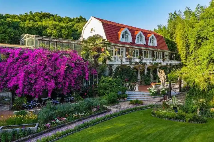 花1万元建成5000㎡"中国最美私家花园",这个69岁的安徽老爷爷火了!