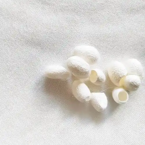 蚕丝文化|千年文化的华夏瑰宝_中国_丝绸之路_纤维