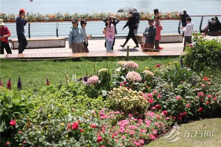 2024上海国际花展开幕徐汇滨江繁花似锦美出新高度