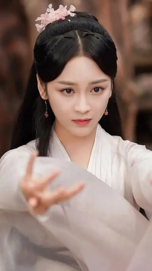 玉昭令红鸾王一菲