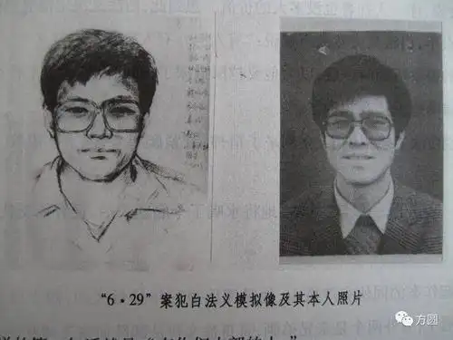听描述,他就画出了白银案呼格案真凶