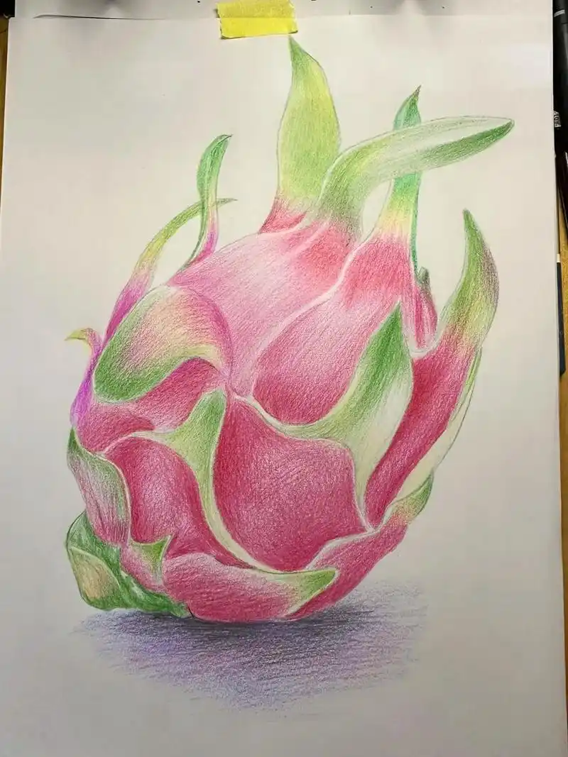 彩铅火龙果 教程步骤.入门彩铅#零基础学画画 #绘画 #一起 - 抖音