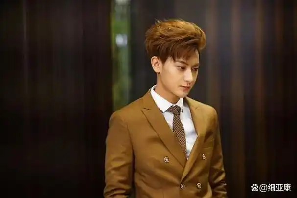 即使没有这些光环,黄子韬靠着父亲的遗产也能够坐实富豪的头衔,毕竟其