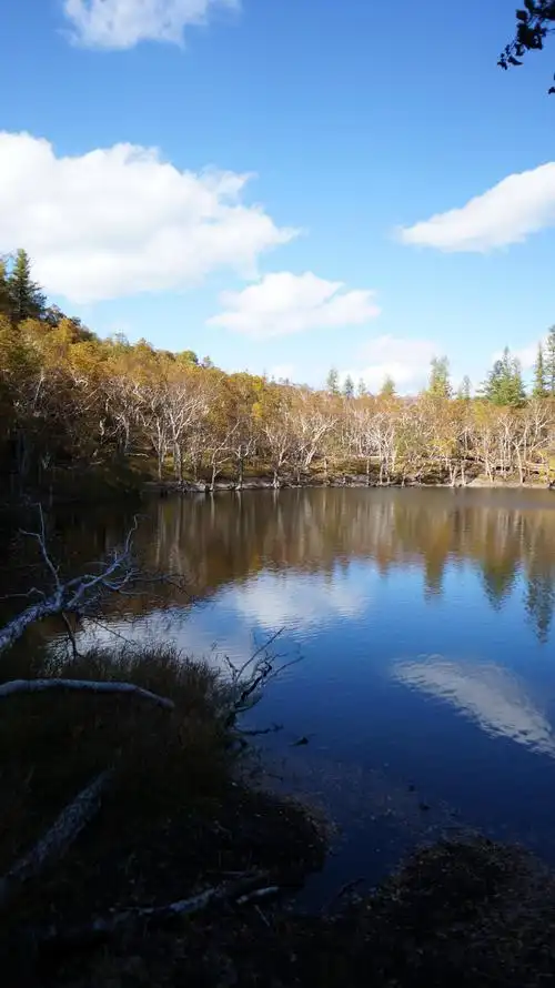 2018小天池_旅游攻略_门票_地址_游记点评,长白山池北旅游景点推荐