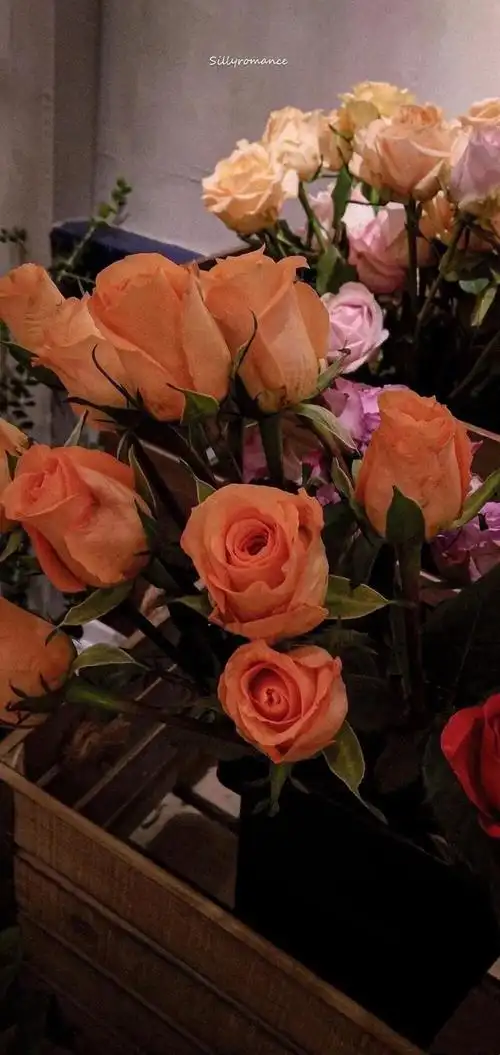 ins背景图 治愈系.,ins背景图治愈系(超治愈ins风壁纸)