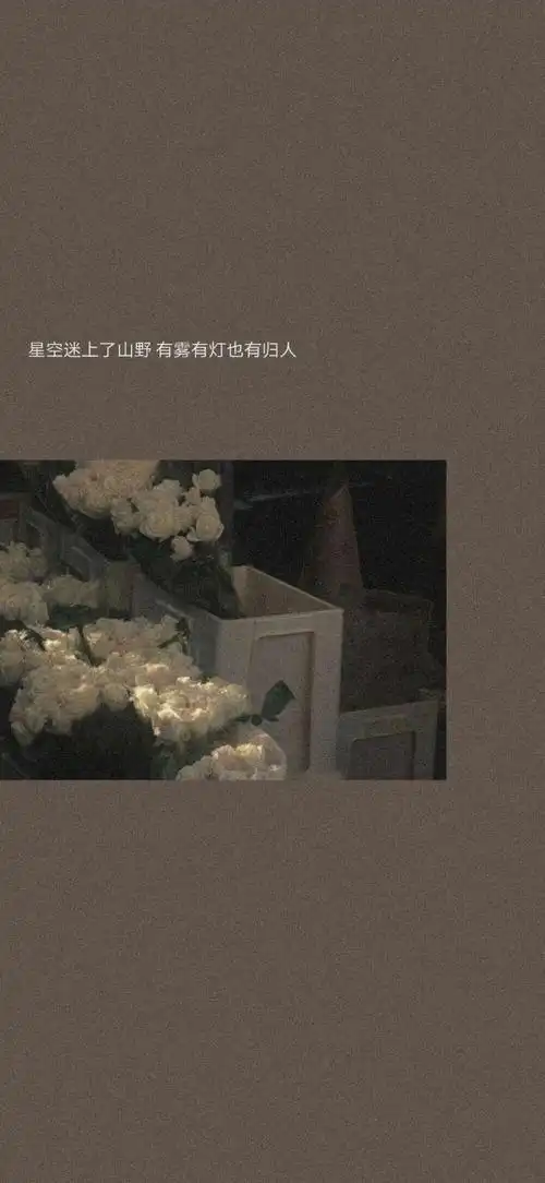 壁纸/背景图/ins冷淡风/文字壁纸