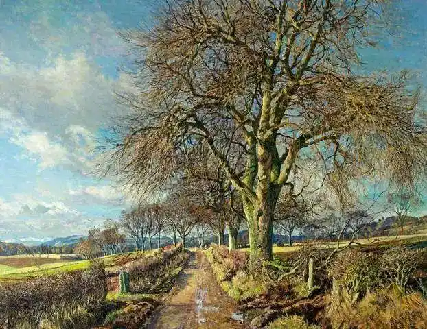 油画风景苏格兰画家jamesmcintoshpatrick作品欣赏