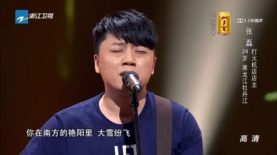 【1080p】南山南-张磊 【320k】_哔哩哔哩_bilibili