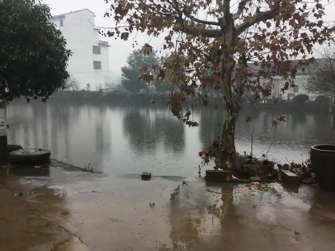 金华市武义县桐琴镇敕令桥村