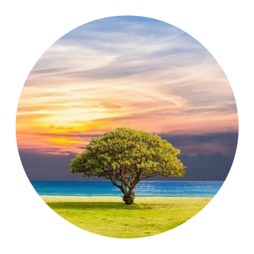 2022带来好运的风景头像值得一看的美景快来换上吧