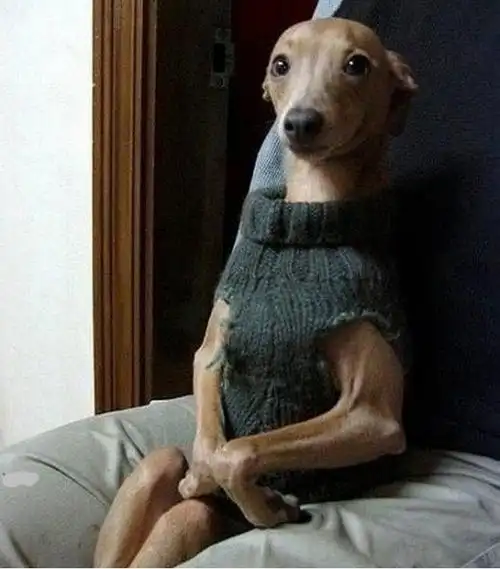 神一样的抓拍!爆笑瞬间!