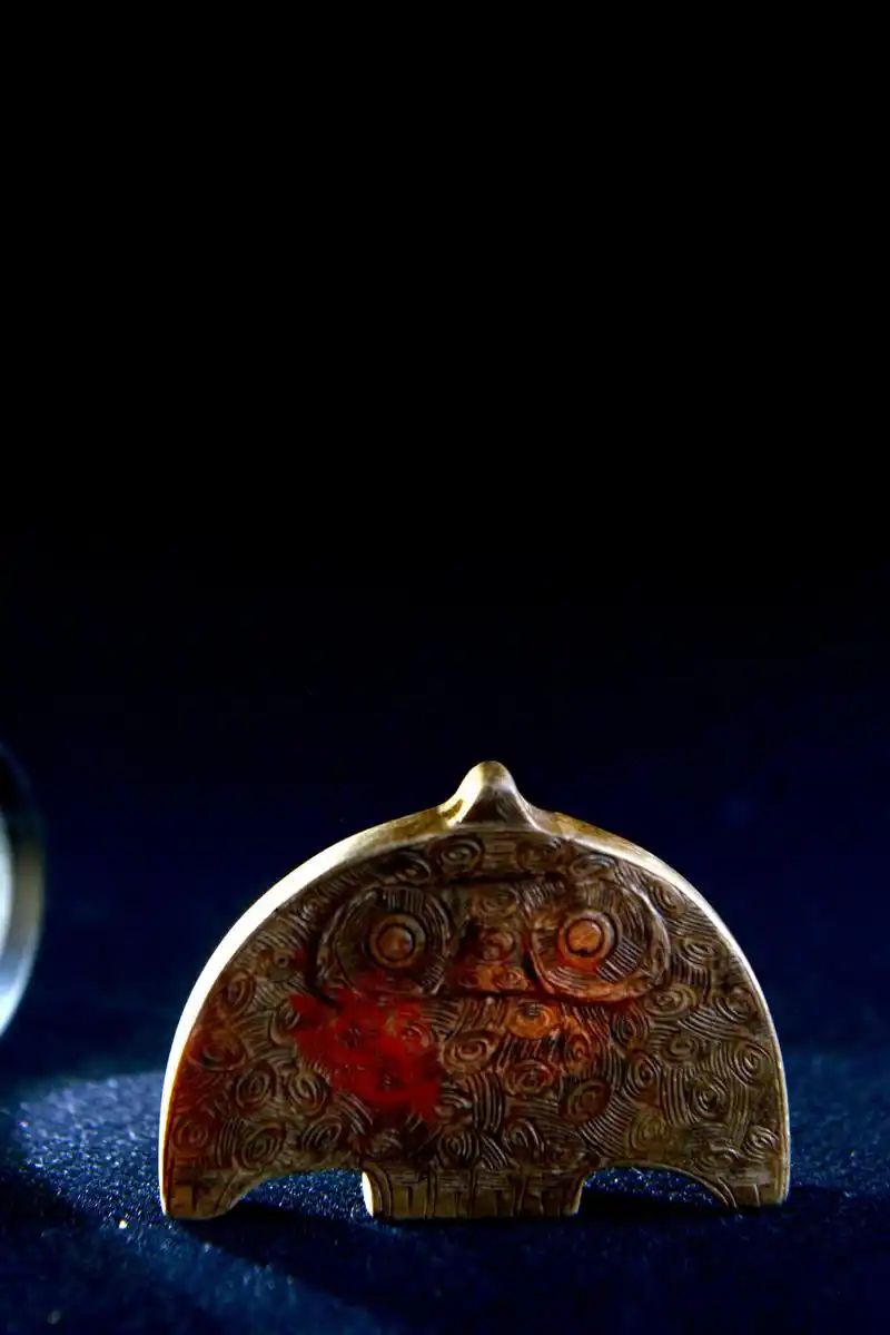 这是一只良渚文化鸟 - 抖音