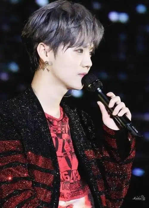 作为sm公司第一位外籍ace,鹿晗是靠实力拿下exo主唱和领舞的头衔,回国