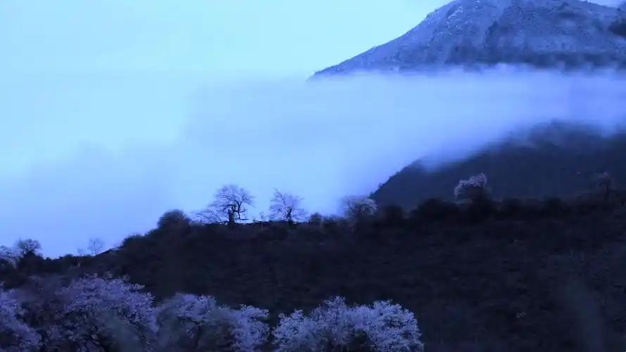 古风- 堆糖,美图壁纸兴趣社区