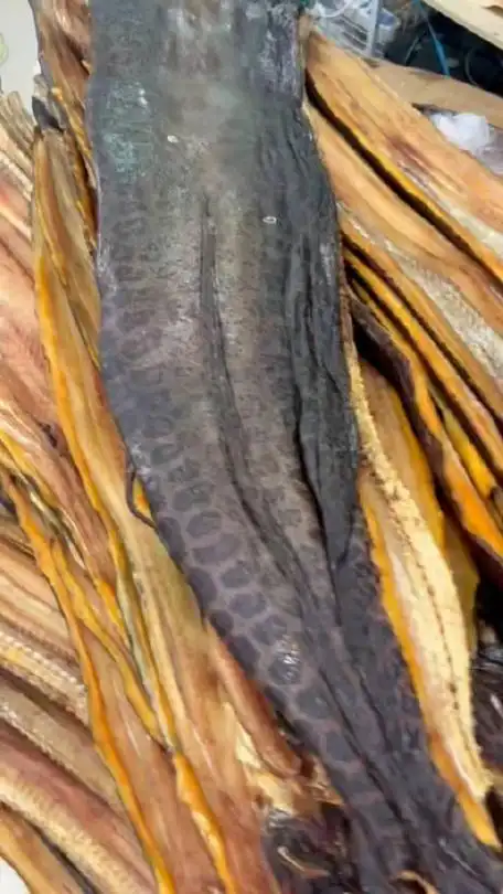 海南野生花鳗鱼干焖红烧煲汤都好吃