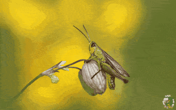 352_220gif 动态图 动图