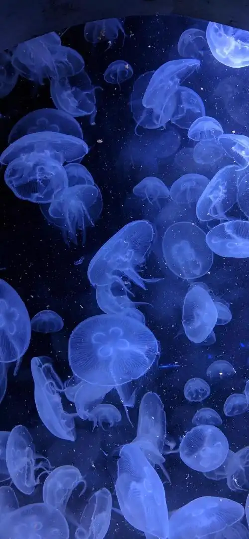 治愈系手机壁纸图 高清无码ins风微信聊天背景图