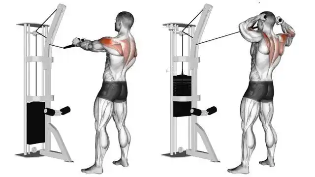 十个肩部训练动作,挺拔做女人,挺拔做男人