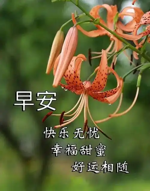 8张最新有创意的亲人朋友早上好祝福语表情图片带字_业务_生活_阳光