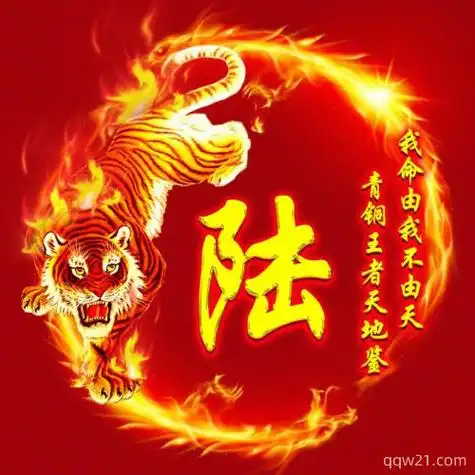 霸气姓氏头像80张,海纳百川 有容乃大霸气烈火龙姓氏头像:何来人间